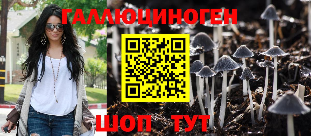 Бирск  Псилоцибиновые грибы MAGIC MUSHROOMS  Вход с VPN  Галлюциногенные грибы Psilocybe 
